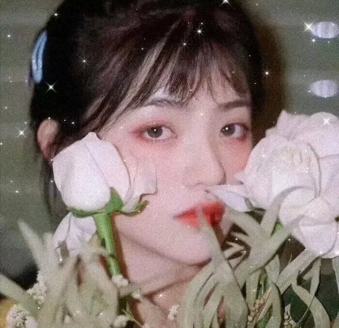 后庭花